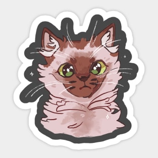 Confused cat Sticker